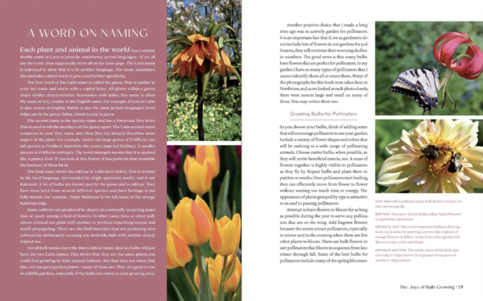 The Essential Guide to Bulbs Signed Copy - Image 4